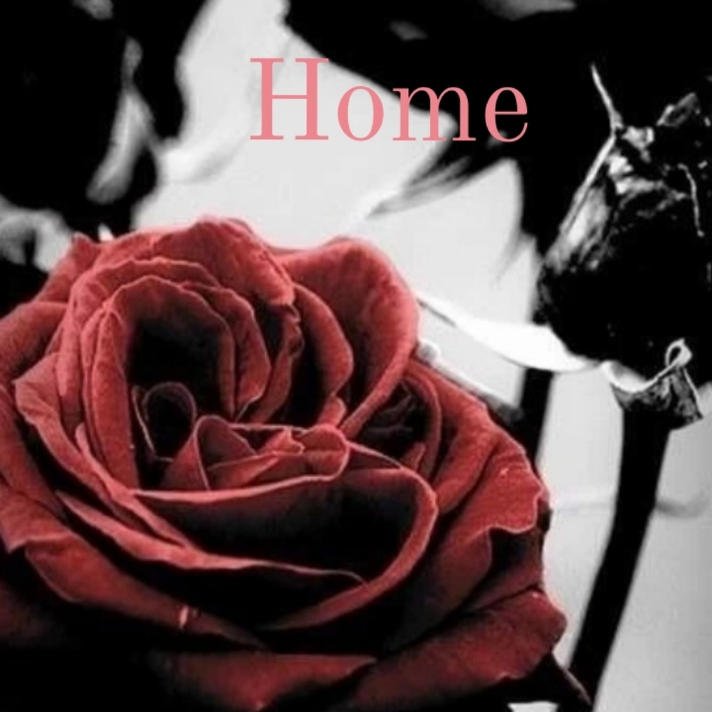 Home & decor